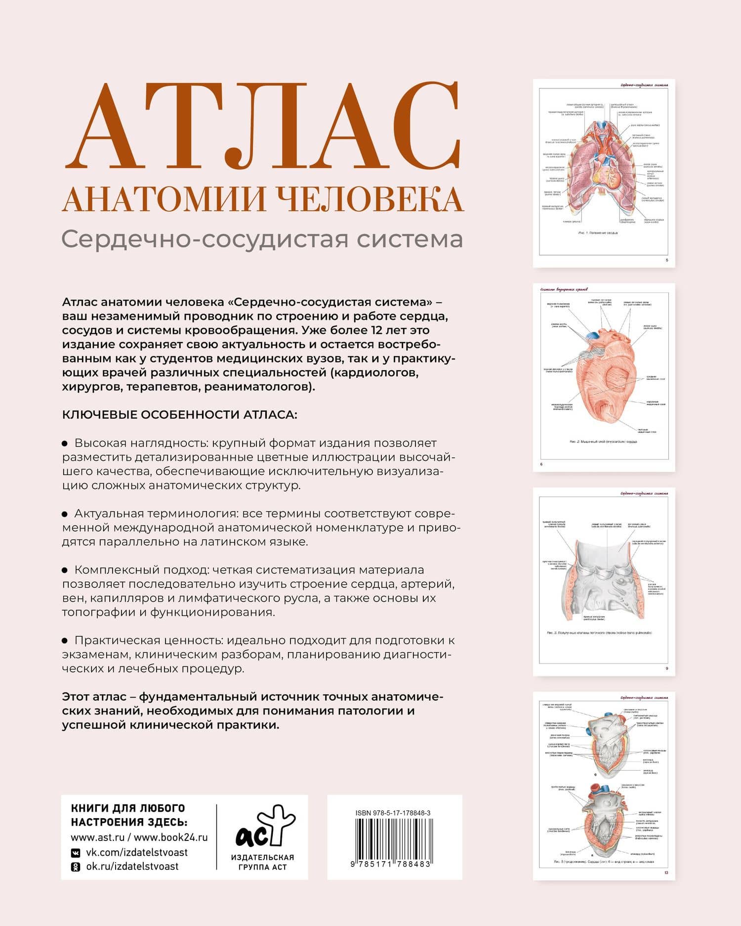 Атлас анатомии человека. Сердечно-сосудистая система — Сергей Сергеевич Левкин (2)
