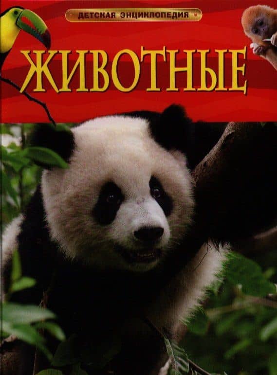 Энциклопедия "Животные" — Миранда Смит