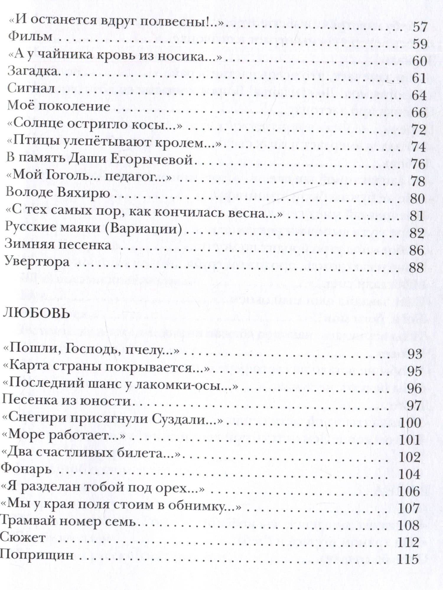 Электрические стихи — Влад Маленко (3)
