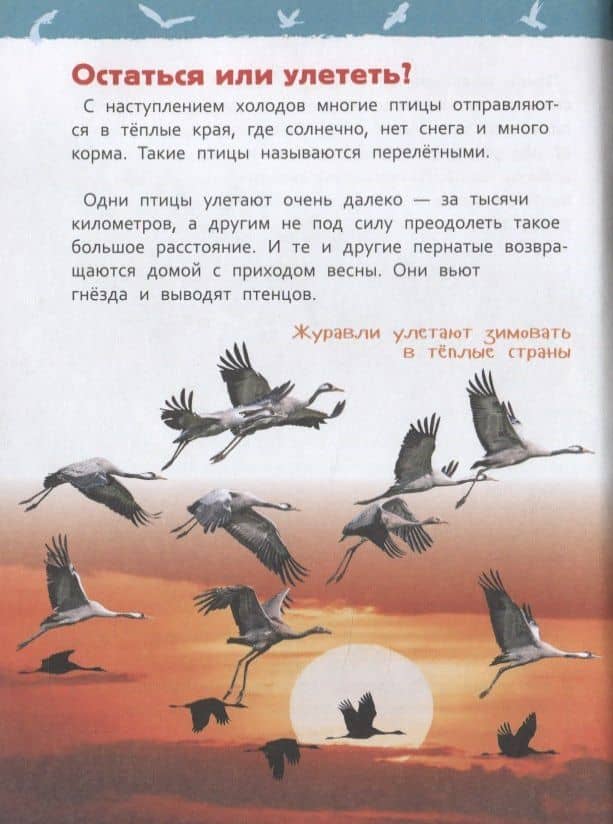 Птицы — Светлана Николаевна Гальцева (3)
