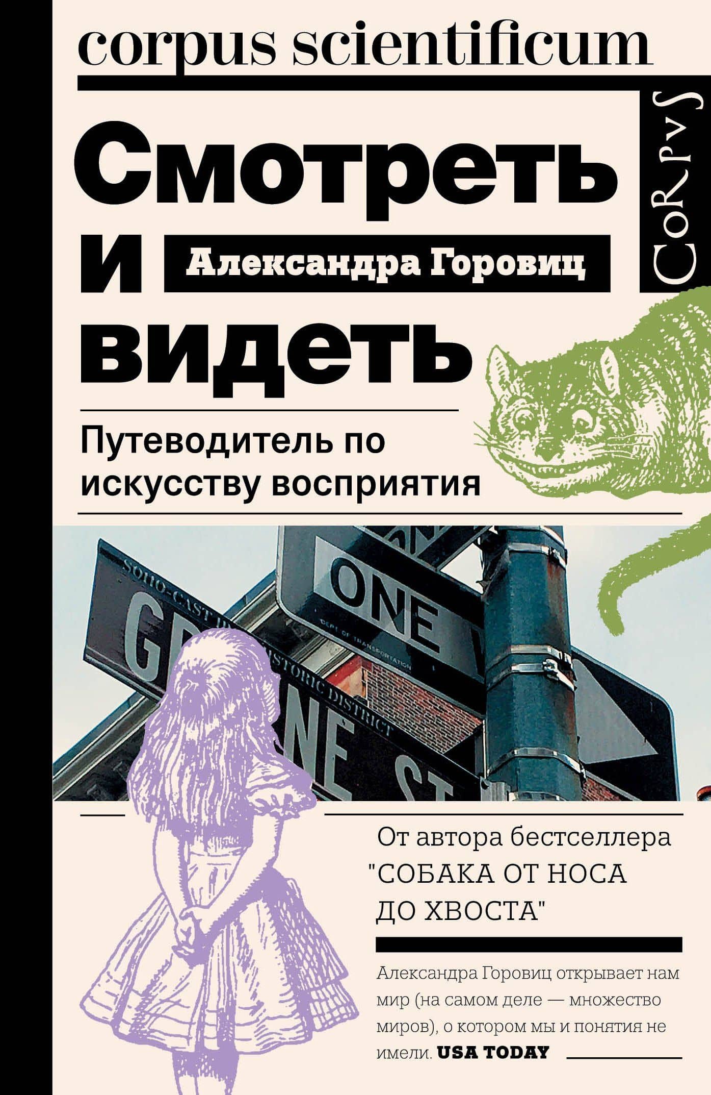 Смотреть и видеть. Путеводитель по искусству восприятия — Александра Горовиц