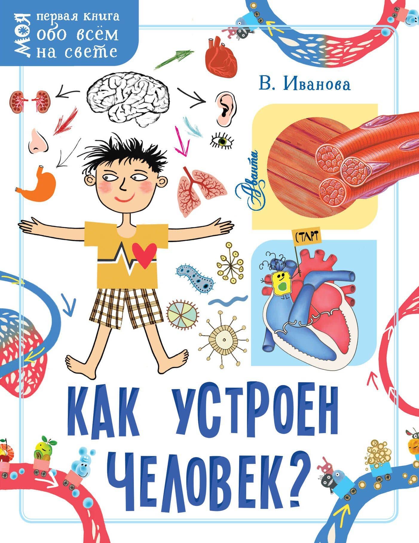 Как устроен человек? — Вера Владимировна Иванова