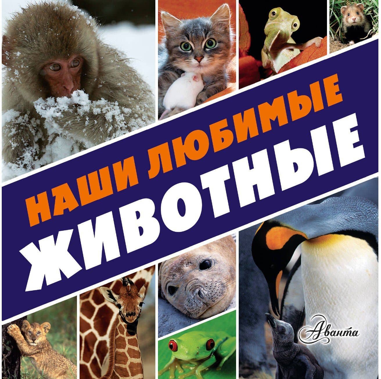 Наши любимые животные