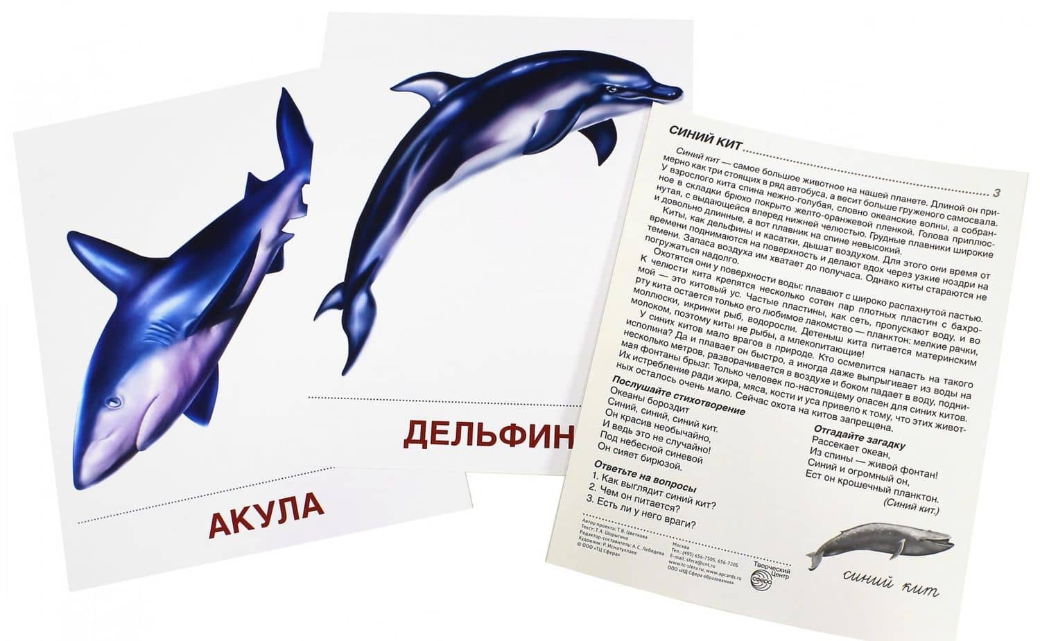 Демонстрационные картинки "Мир морей" (16 картинок) — Татьяна Владиславовна Цветкова (2)