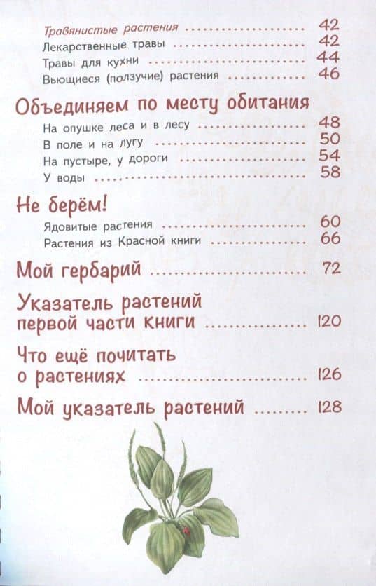 Лето на память. Моя первая коллекция растений — Ольга Азгальдова (3)