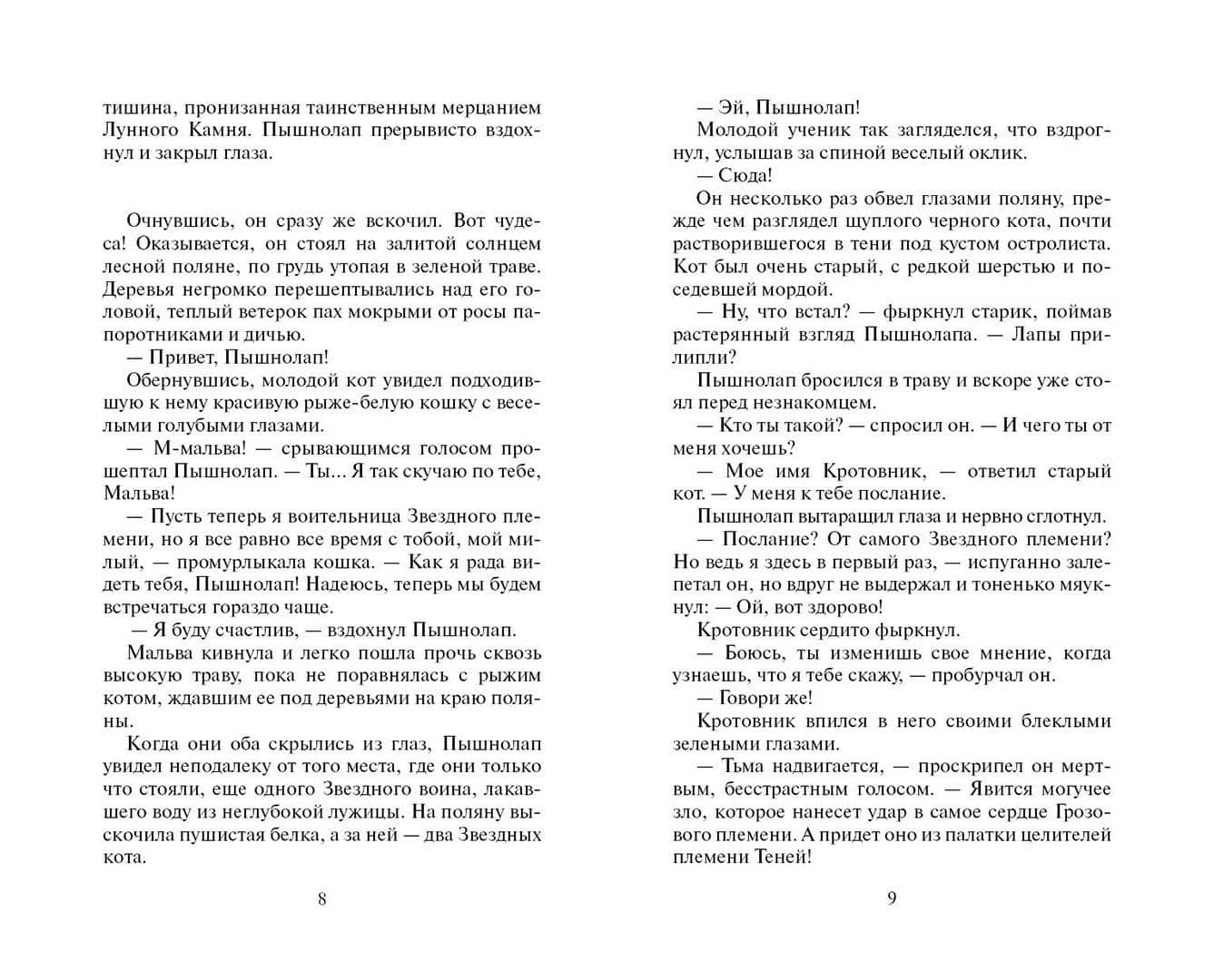 Тайна Щербатой. Предназначение — Эрин Хантер (3)