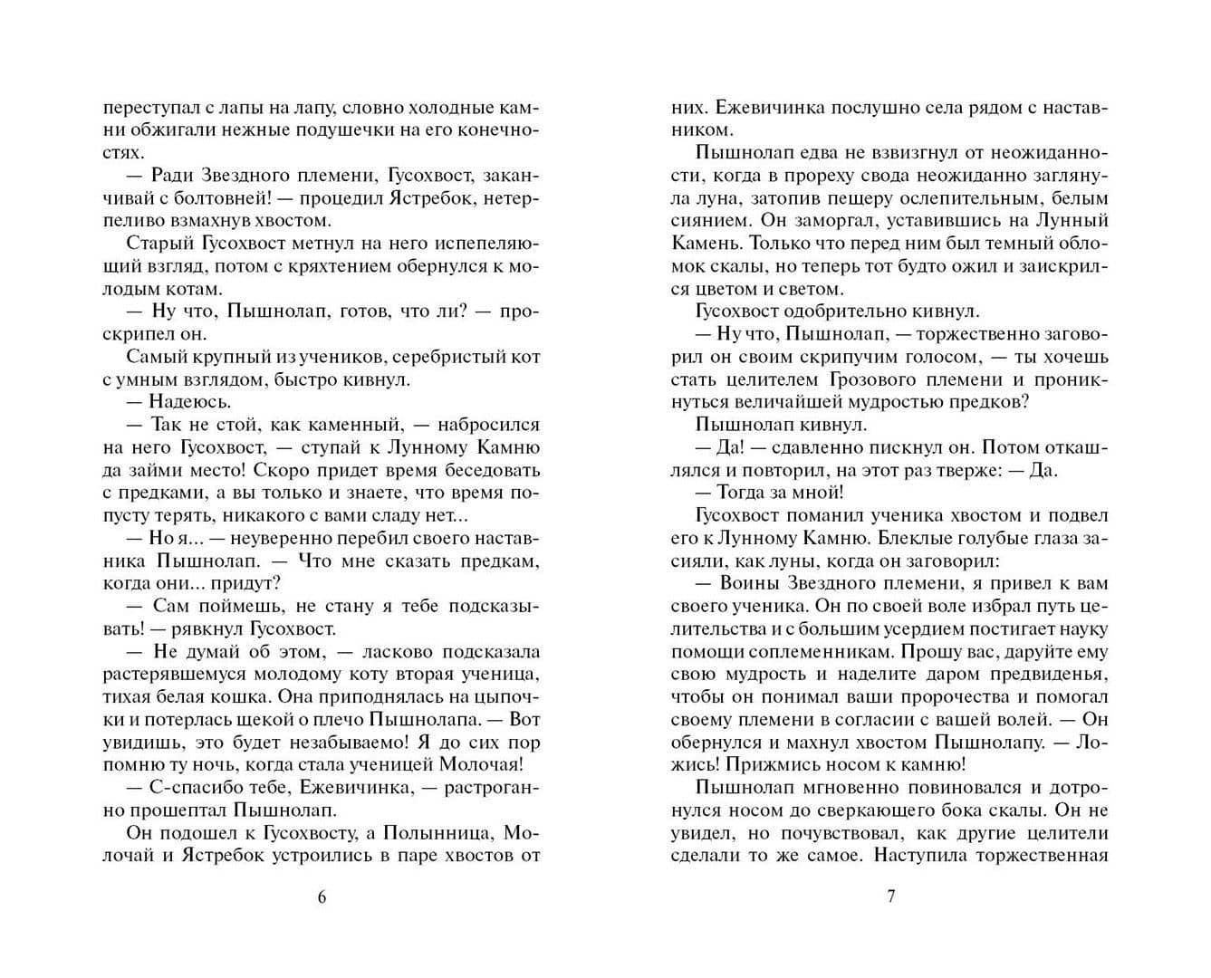 Тайна Щербатой. Предназначение — Эрин Хантер (2)