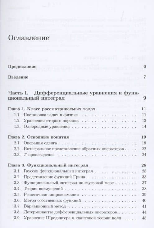 Метод функционального интегрирования — Гарий Владимирович Ефимов (2)