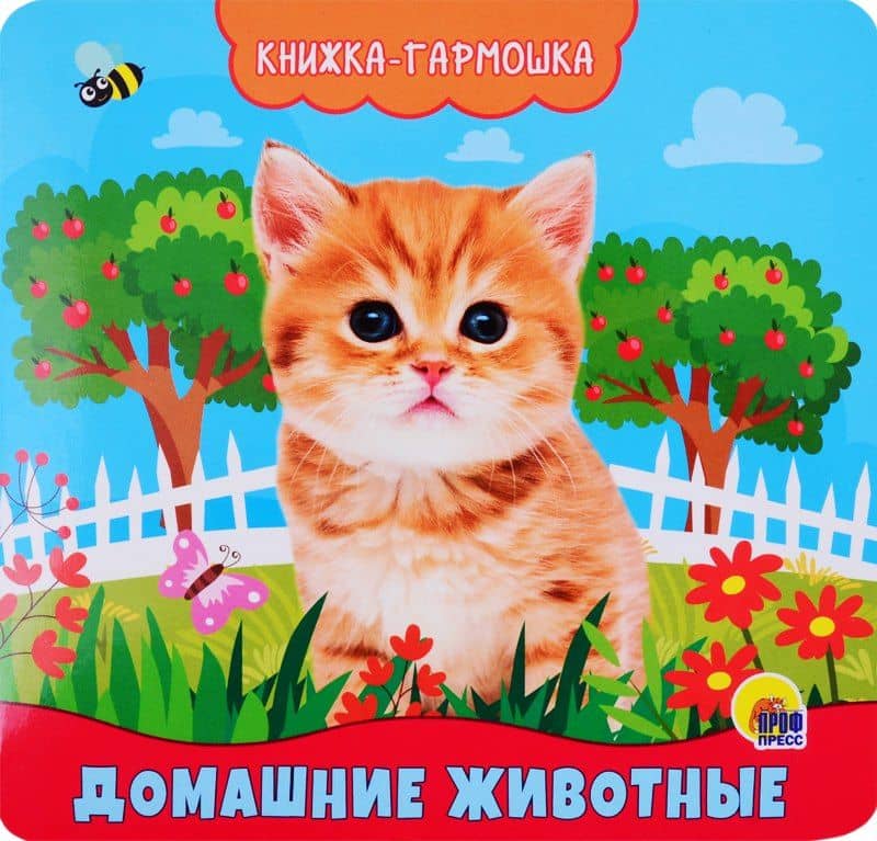 Домашние животные. Книжка-гармошка — Анна Олеговна Купырина