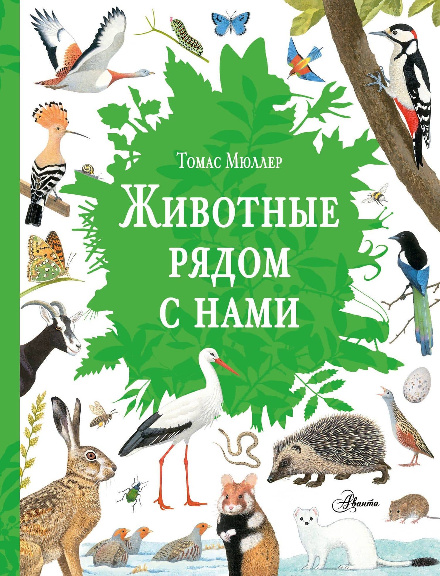 Животные рядом с нами — Мюллер Томас