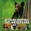 Детеныши животных. 1001 фотография