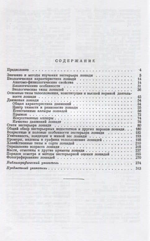 Экстерьер лошади (2)