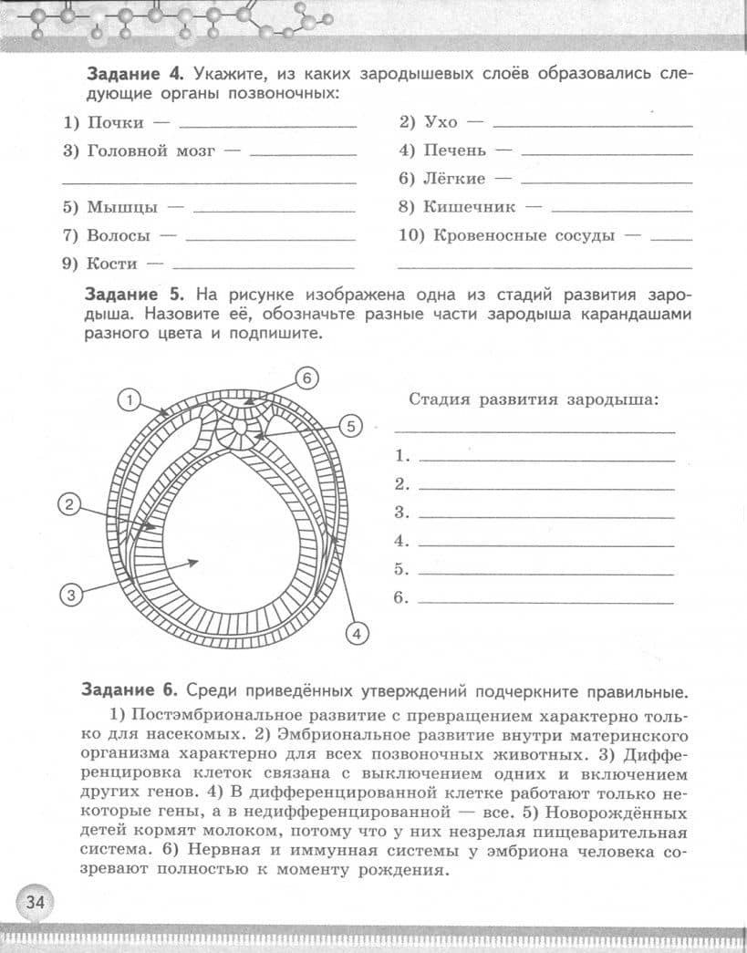 Биология. 10-11 классы. Базовый уровень. Рабочая тетрадь. ФГОС — Ольга Валентиновна Саблина (2)