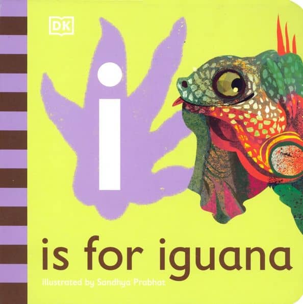 I is for Iguana