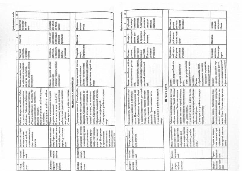 Социально-бытовая ориентировка. 5-9 классы. Развернутое тематическое планирование. СФГОС — Светлана Алексеевна Львова (2)