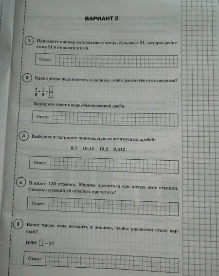 ВПР ФИОКО. Математика. 5 класс. Типовые задания. 10 вариантов. ФГОС — Татьяна Михайловна Ерина (3)