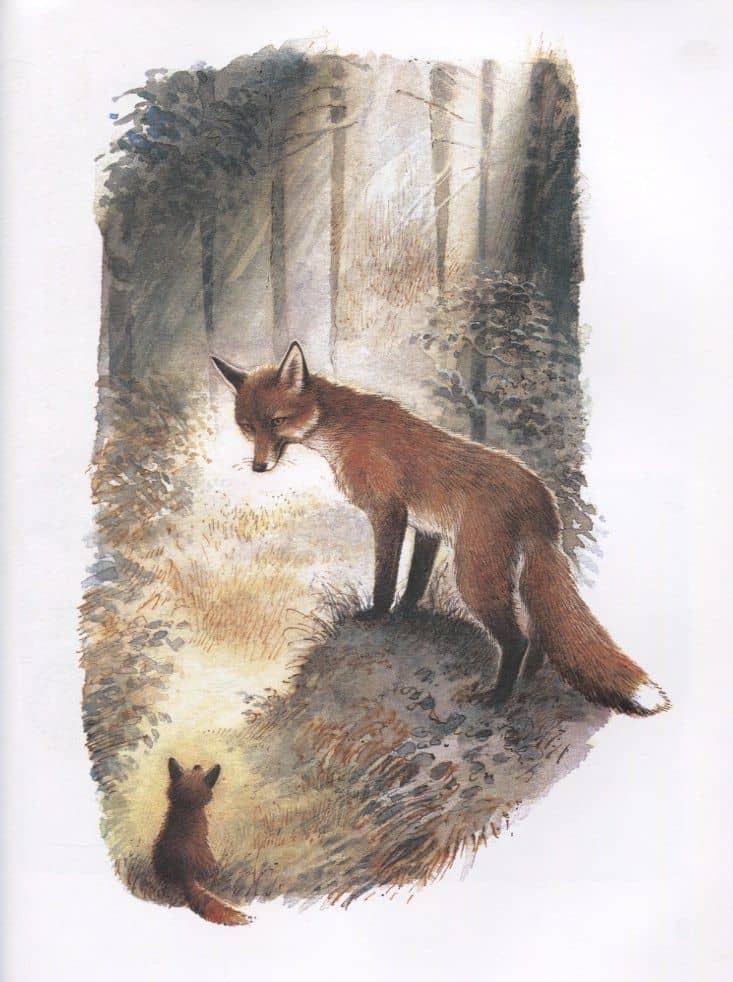 Мама для лисёнка — Ирина Коршунова (3)