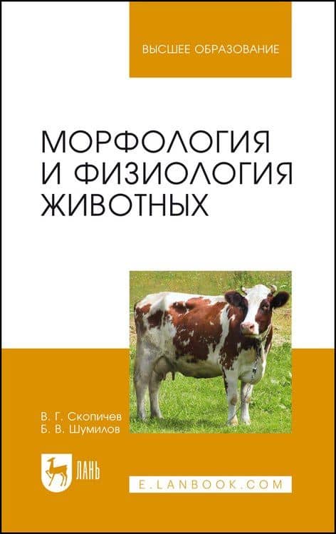 Морфология и физиология животных. Учебное пособие