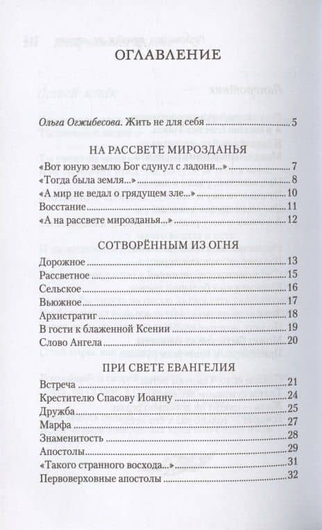 Достучавшимся до небес. Сборник стихов — Василий Полушкин (2)