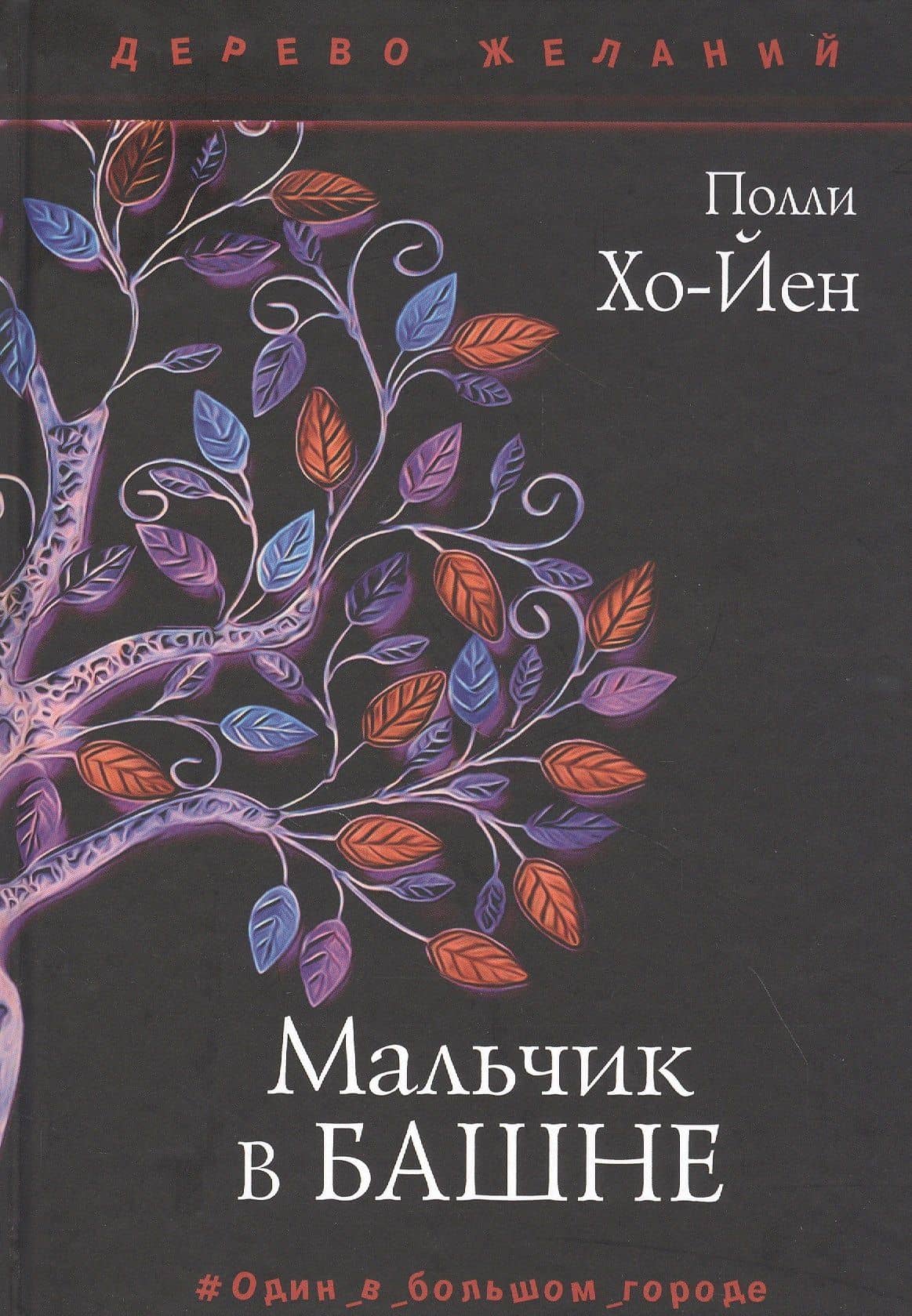 Мальчик в башне — Полли Хо-Йен
