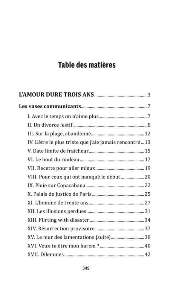 L'amour dure trois ans / Любовь живет три года. 99 франков: книга для чтения на французском языке — Фредерик Бегбедер (3)
