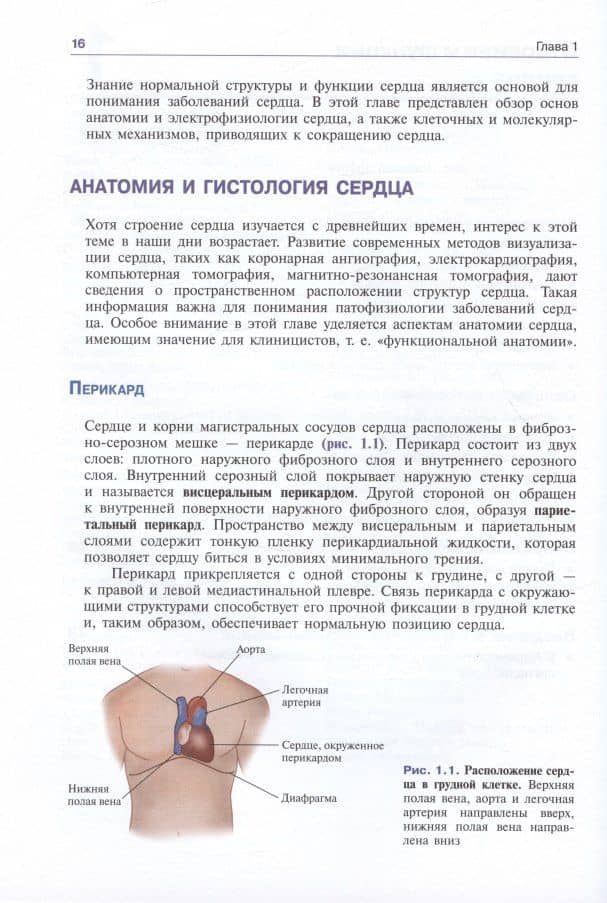 Патофизиология сердечно-сосудистой системы — Леонард С. Лилли (2)