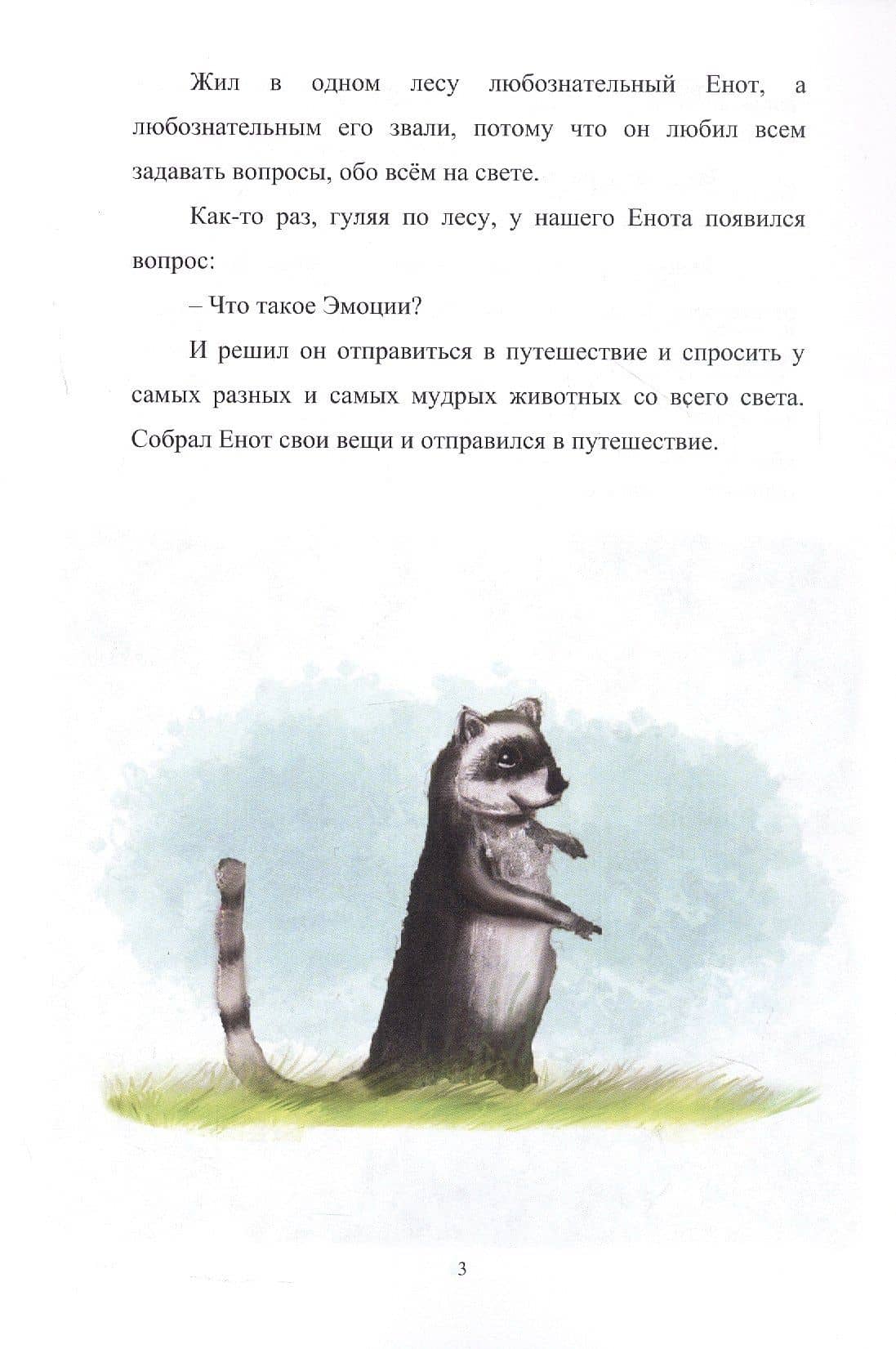 Путешествие енота в мир эмоций — Яна Сакрал (3)