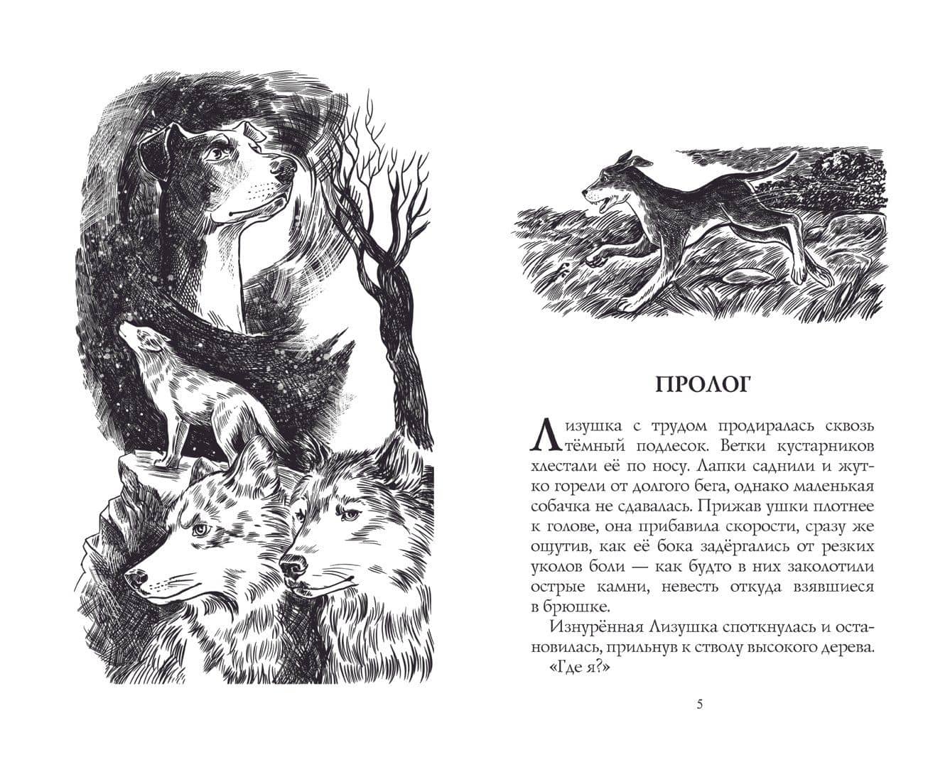 Путь изгнанницы — Хантер Эрин (2)