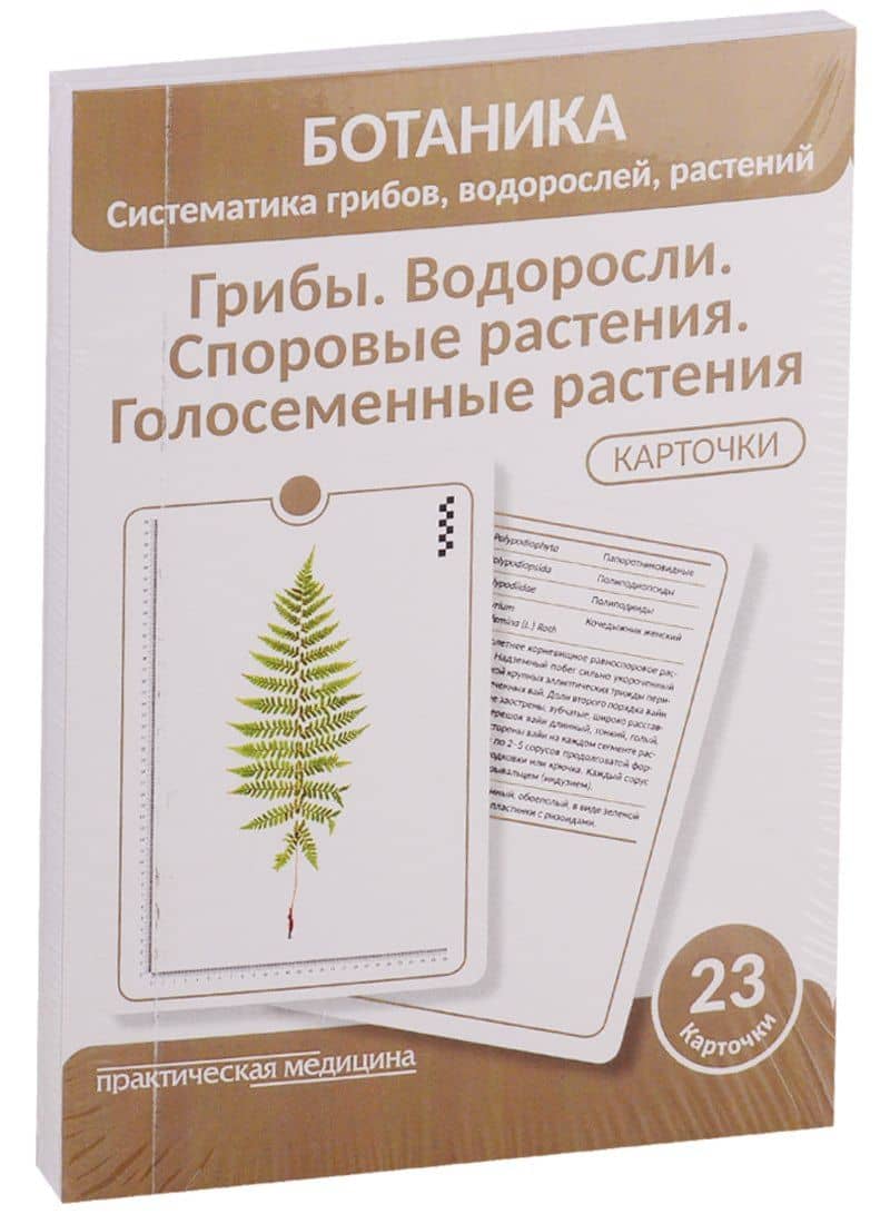 Ботаника. Систематика грибов, водорослей, растений. Грибы. Водоросли. Споровые растения. Голосеменные растения. 23 карточки — Александр Николаевич Луферов