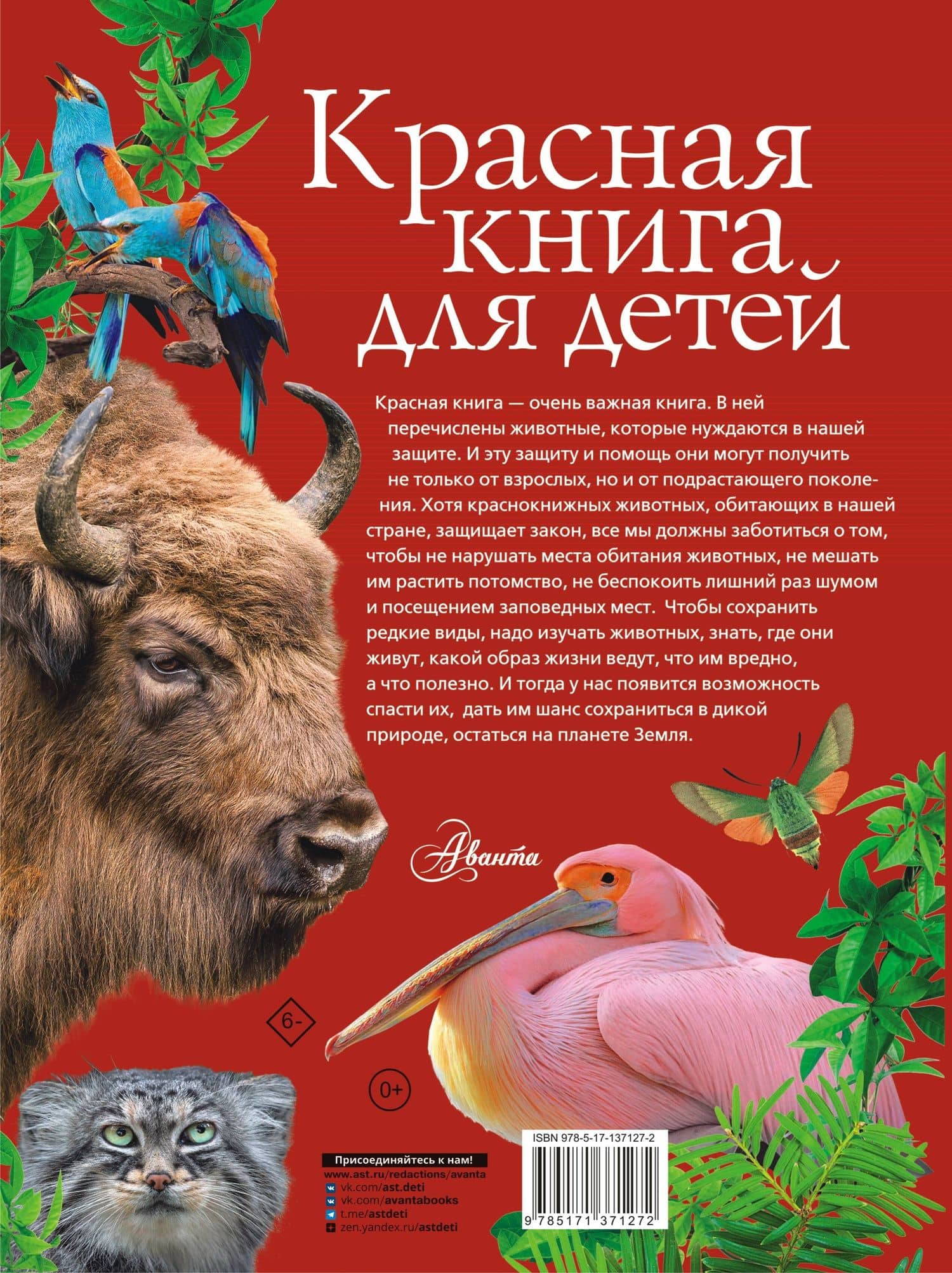 Красная книга для детей. Редкие животные России — С. Ф. Хрибар (2)