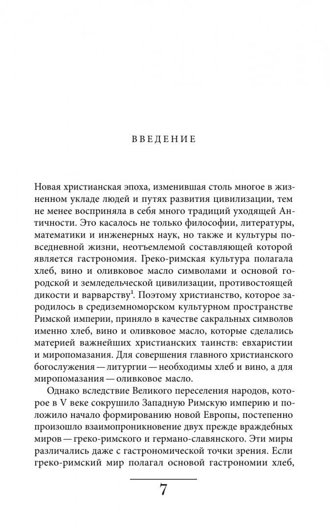 Кухня европейского Средневековья. Франция — Виталий Задворный (3)