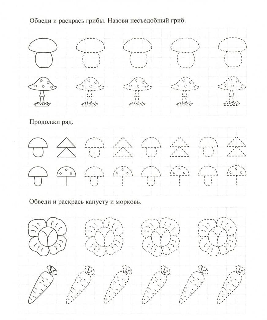 Развивающие прописи. Времена года. 3-4 года (3)
