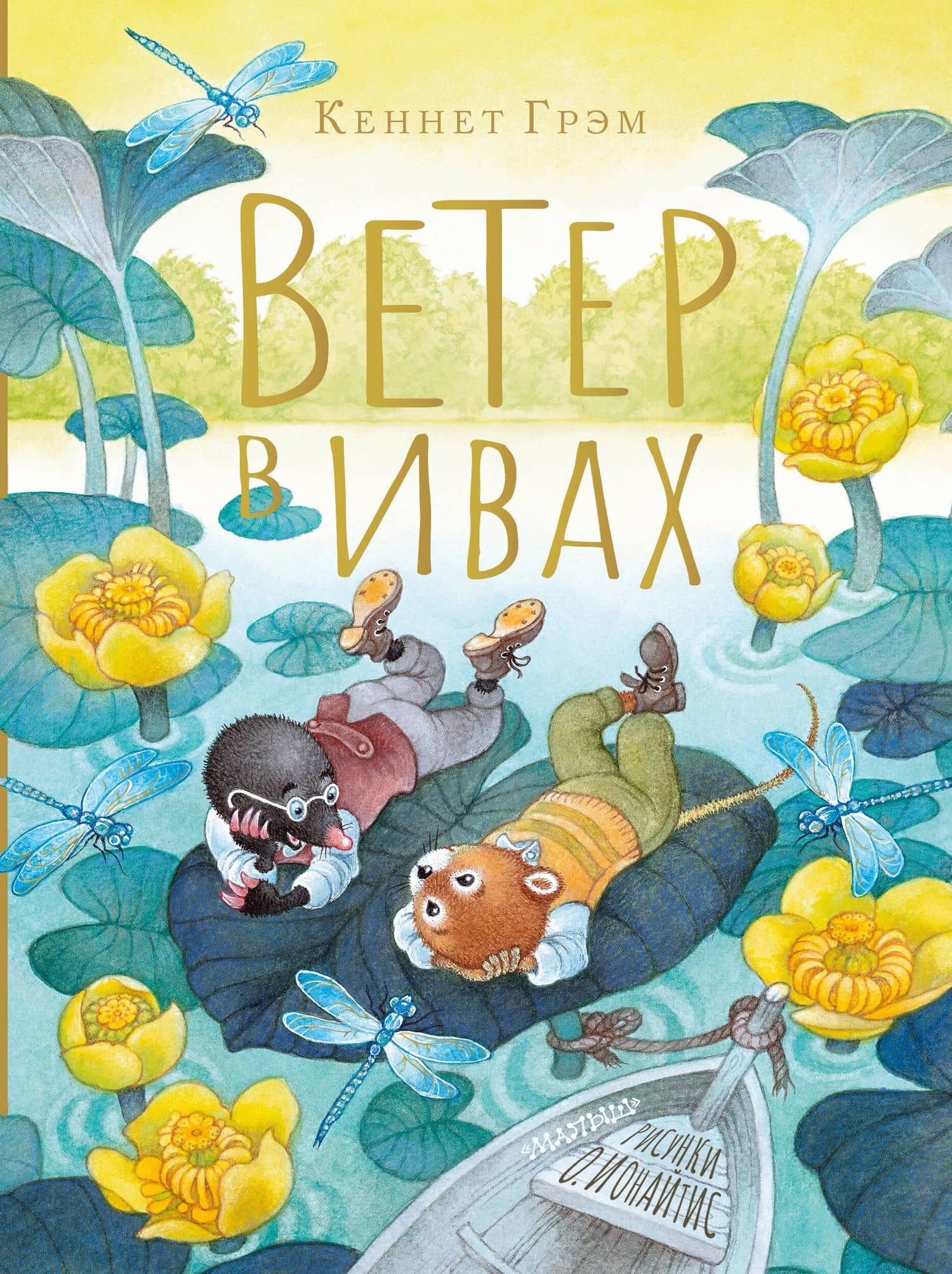 Обложка книги