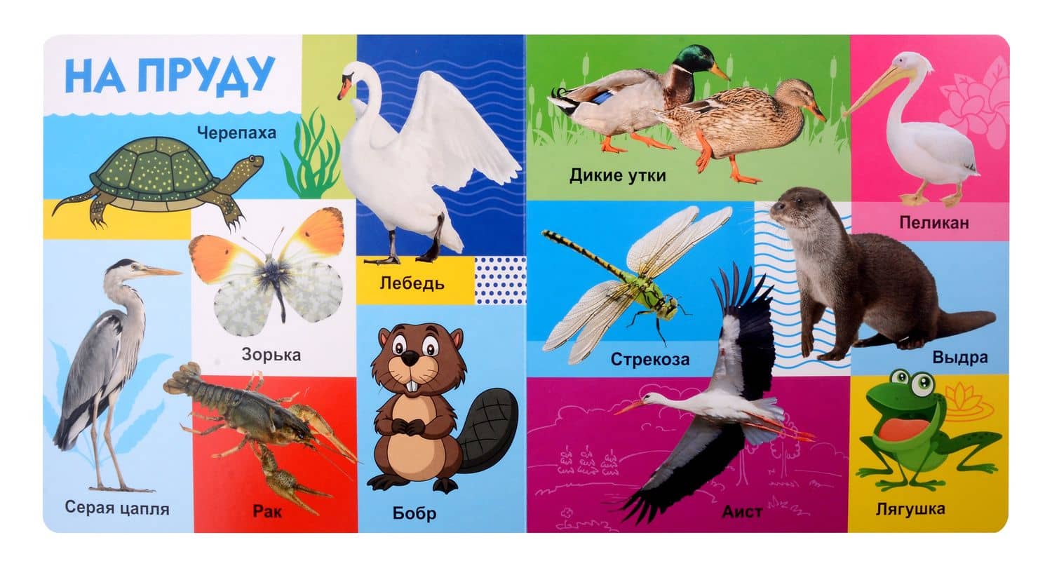Твои любимые книжки. Животные (3)