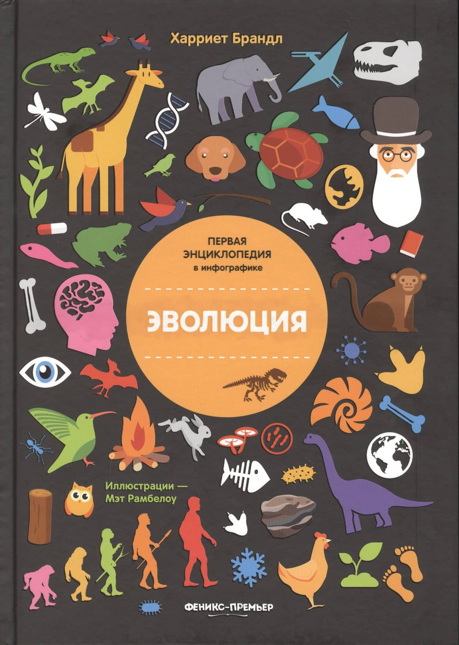 Эволюция. Инфографика — Брандл Харриет