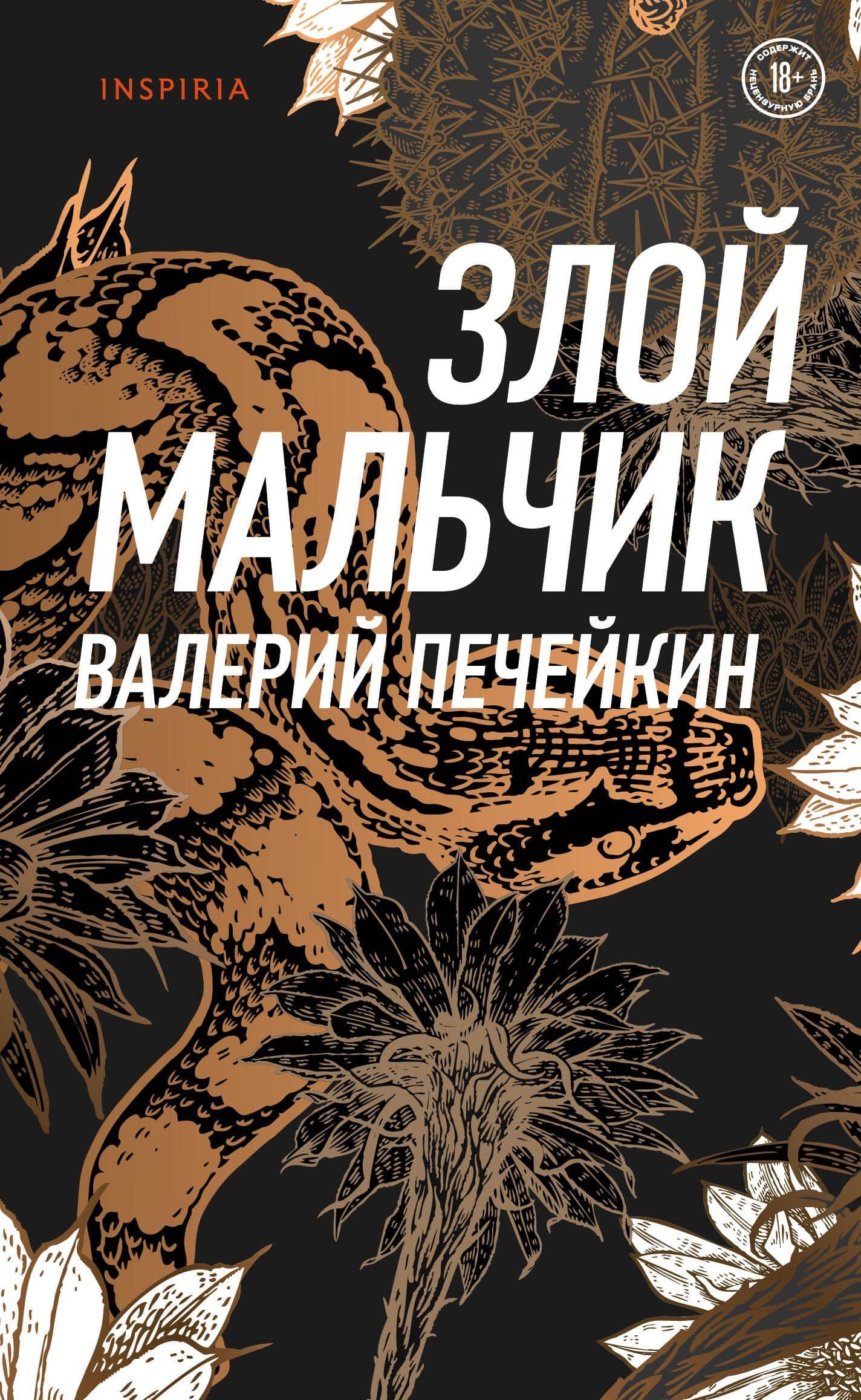 Злой мальчик — Валерий Печейкин