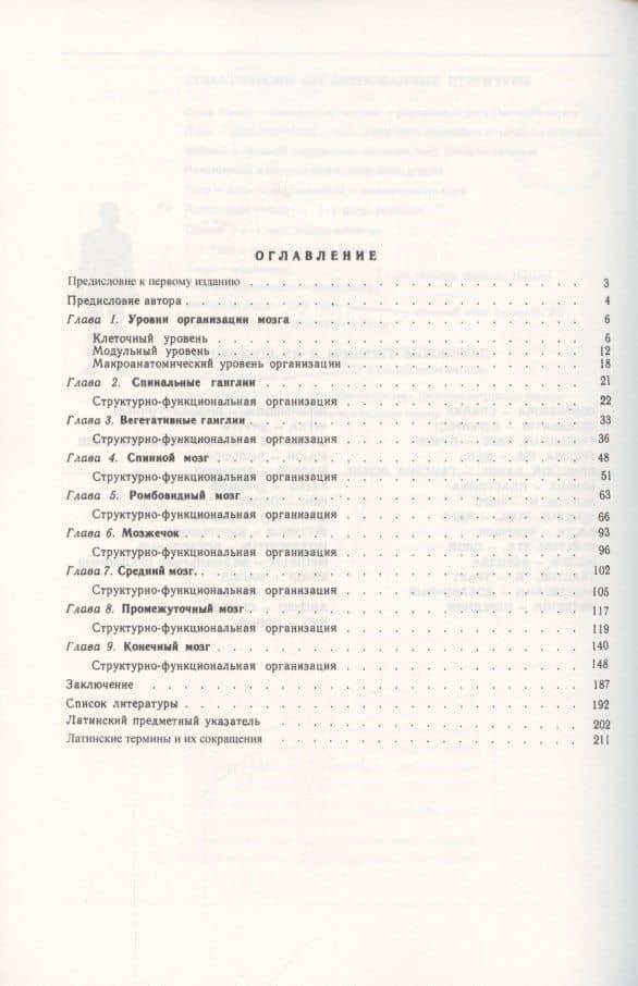 Конструкция мозга (2)