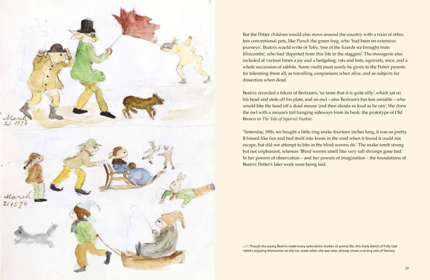 The Story of Beatrix Potter. Her Enchanting Work and Surprising Life — Sarah Gristwood (2)