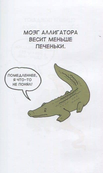 Грустные факты о животных — Брук Баркер (2)
