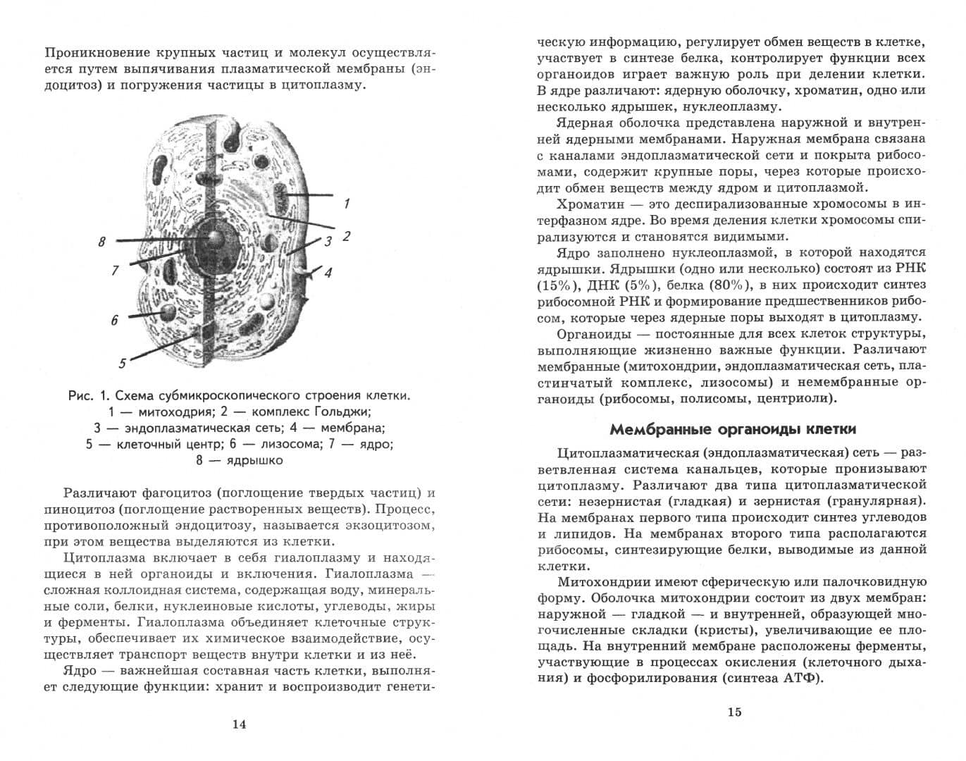 Анатомия и физиология человека с основами общей патологии — Александр Андреевич Швырев (2)