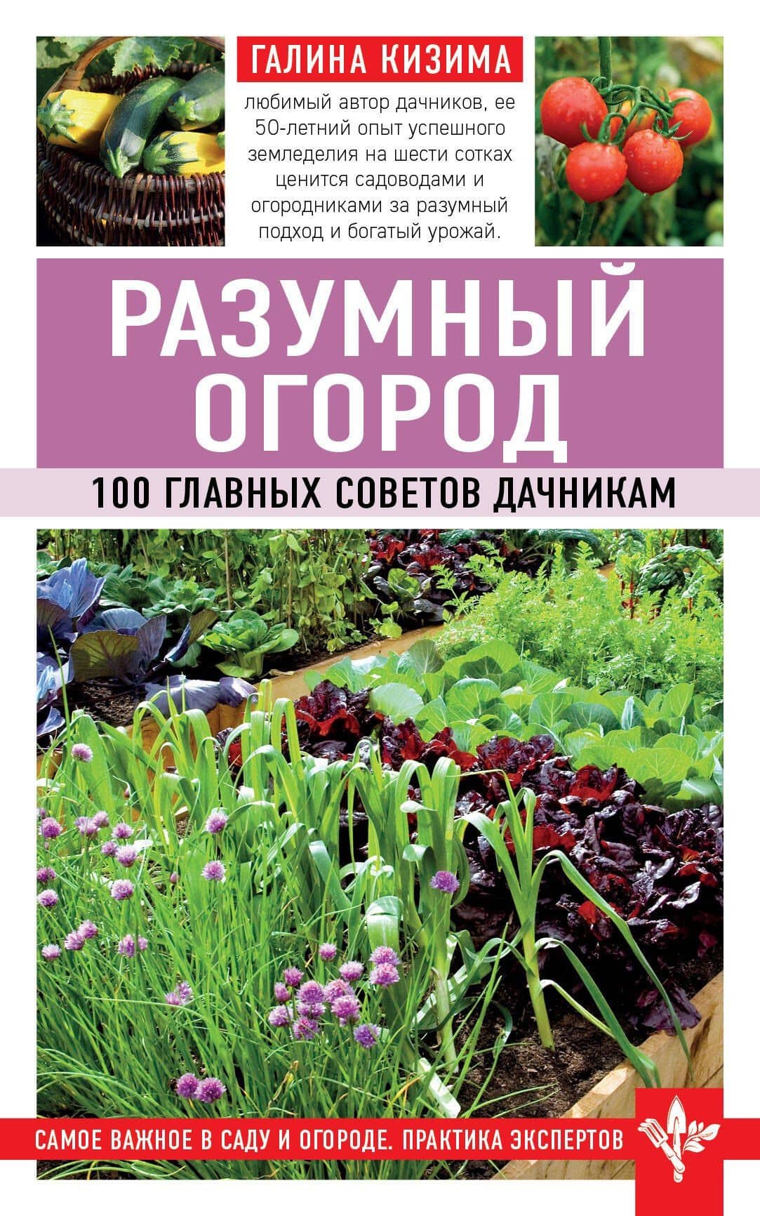 Разумный огород. 100 главных советов дачникам — Галина Кизима