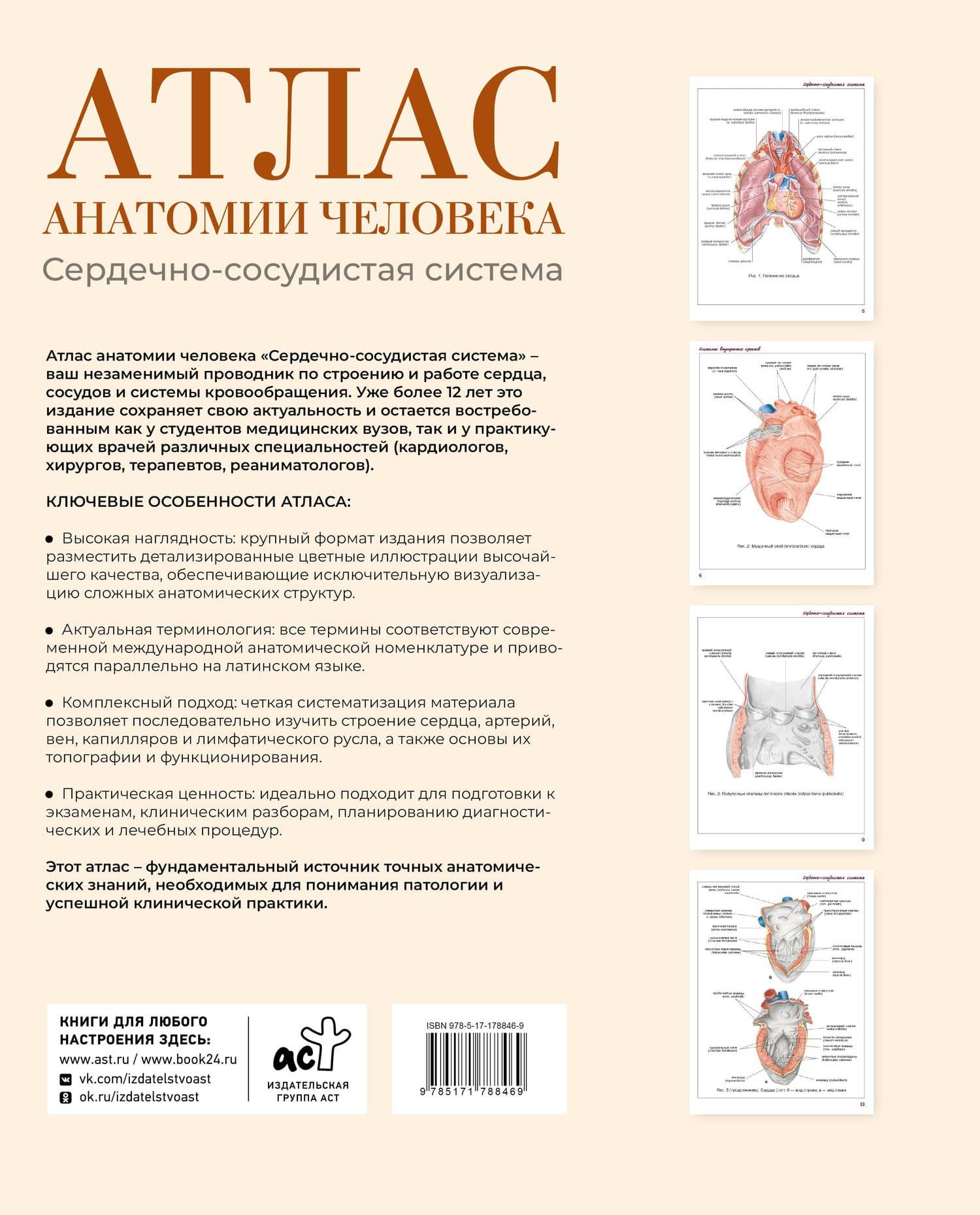 Атлас анатомии человека. Сердечно-сосудистая система — Левкин Сергей Сергеевич (2)