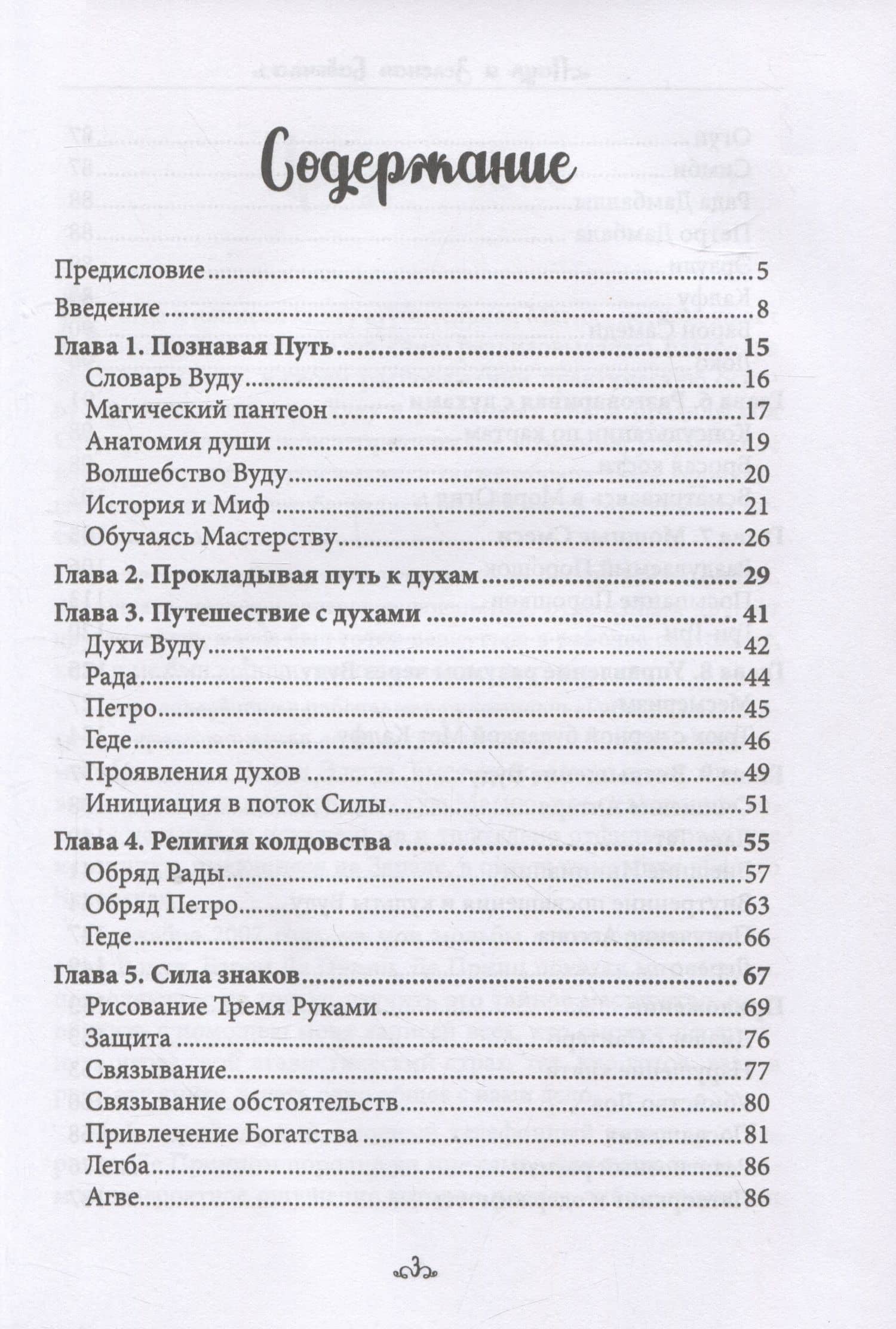 Паук и зеленая бабочка. Вуду-перекресток силы — Э. А. Коэттинг (2)