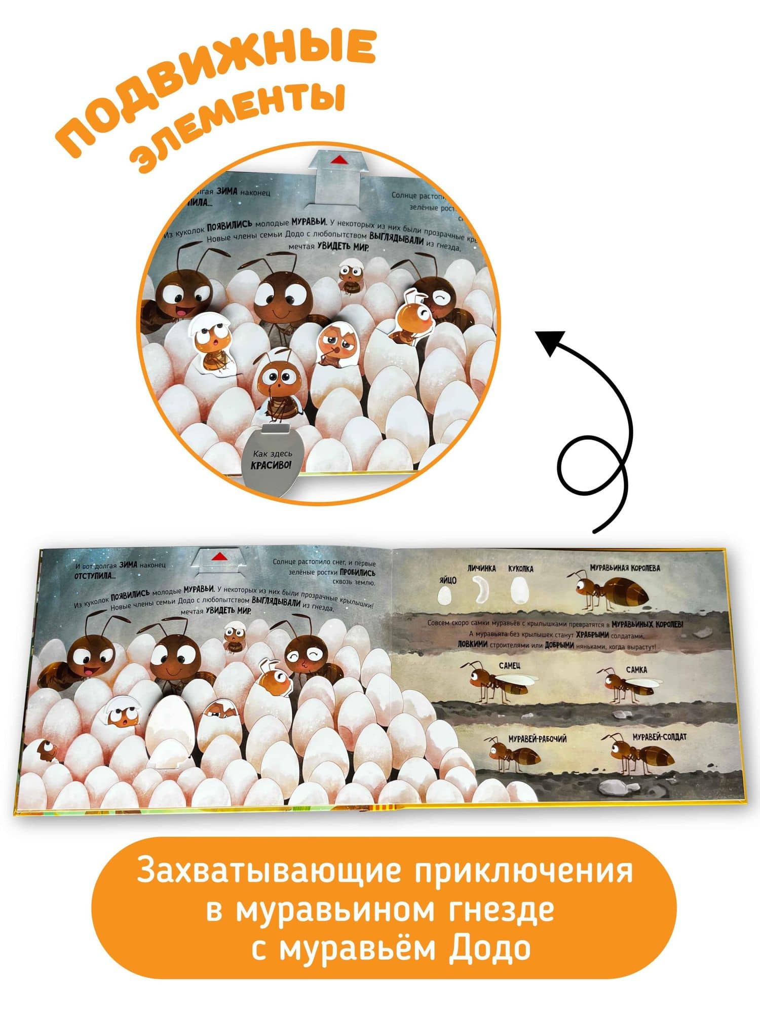 Приключения маленького муравья ДоДо — Анна Люлина (3)