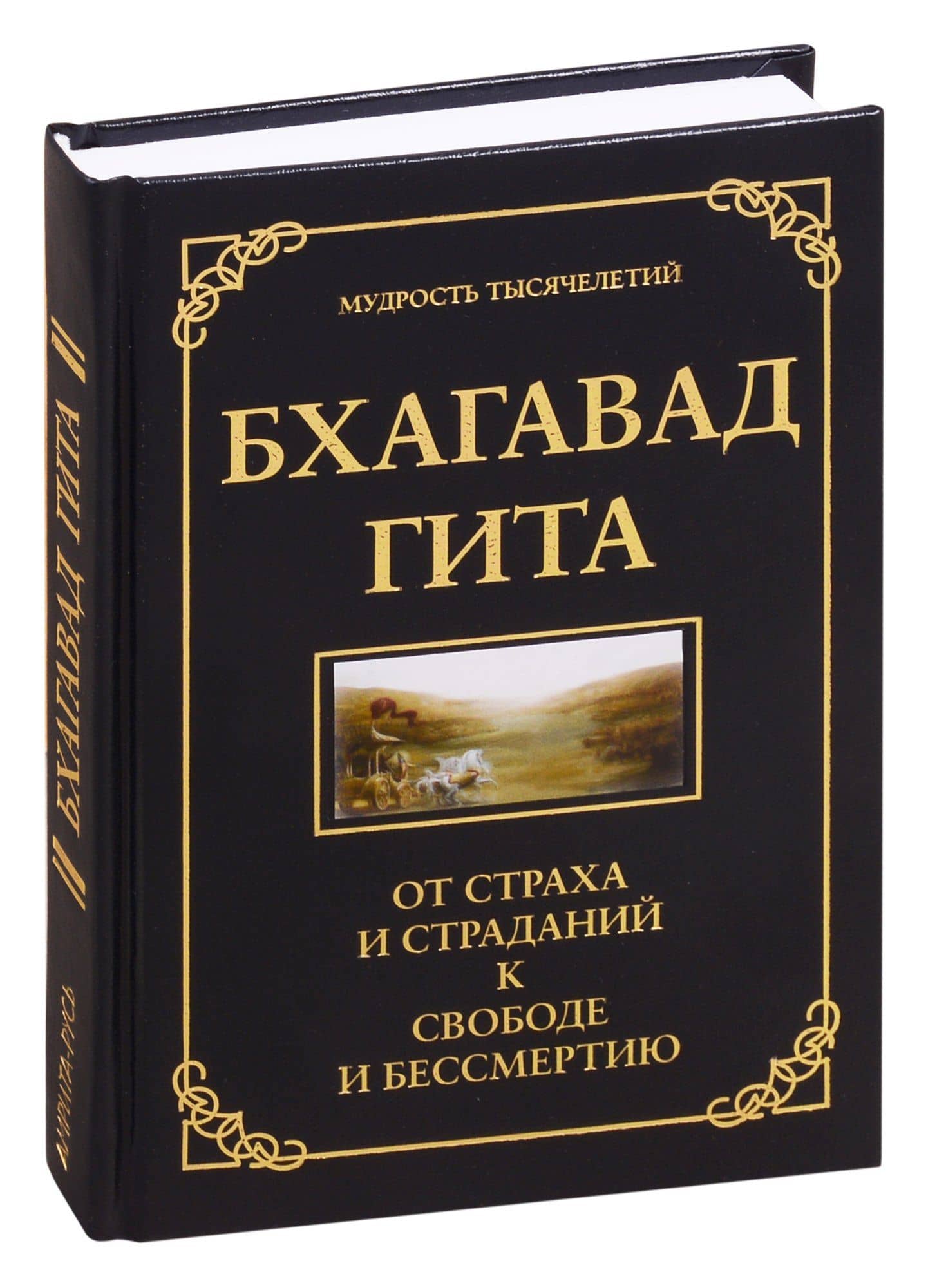 Бхагавад Гита. От страха и страданий - к свободе и бессмертию — Джек Хоули