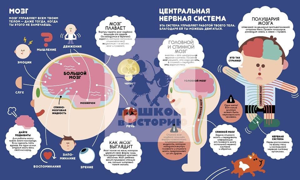 Учимся вместе с Олли и Молли. Человек — Антти Никунен (3)