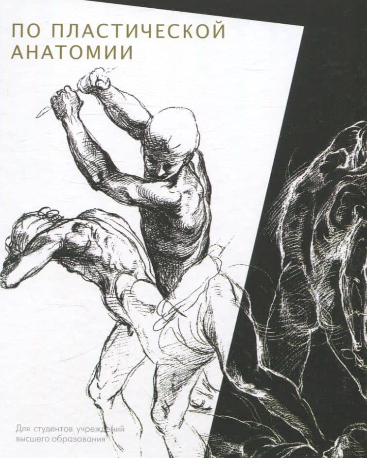Практикум по пластической анатомии — Георгий Валентинович Лойко
