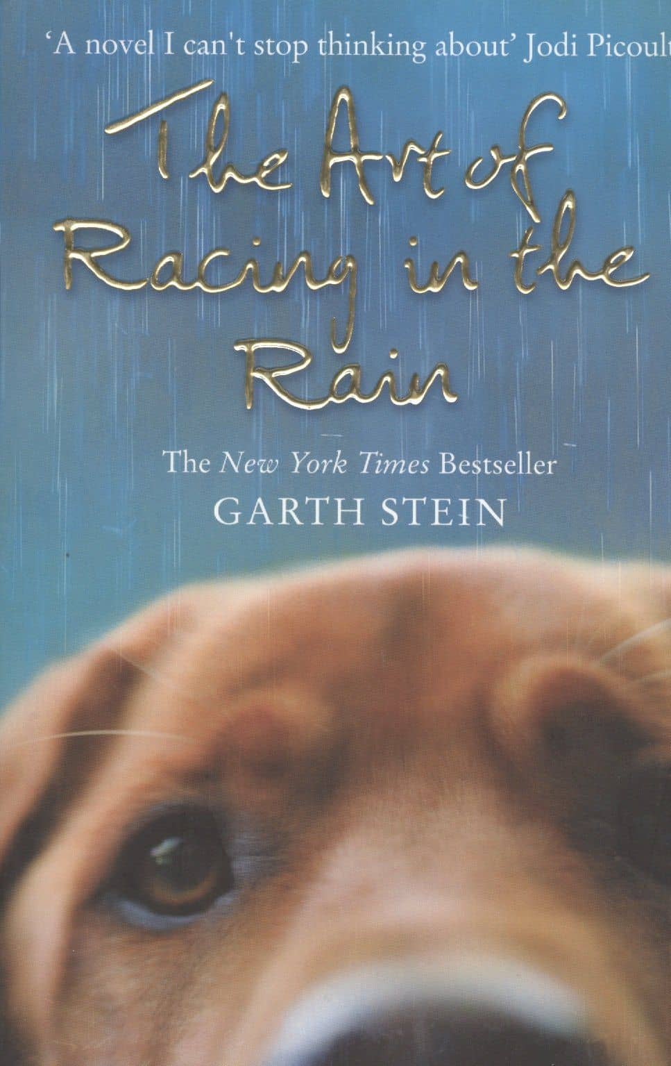 The Art of Racing in the Rain. A Novel