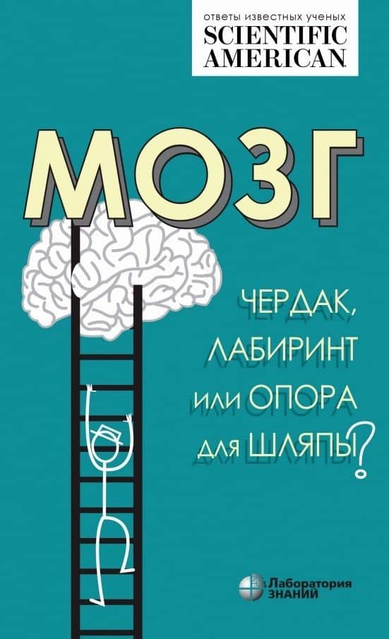 Мозг: чердак, лабиринт или опора для шляпы? — Хелен Барбас