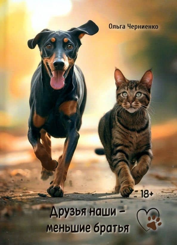 Обложка книги